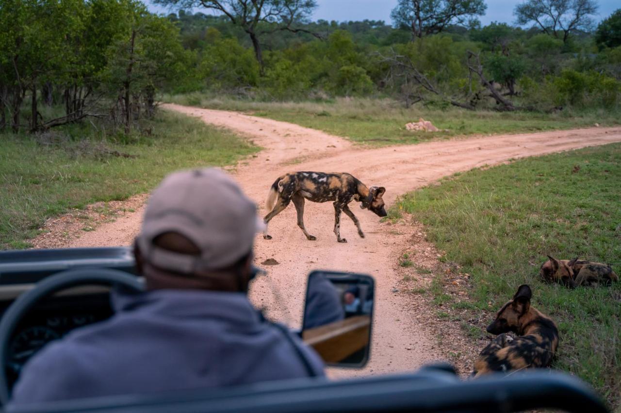 Thornybush Game Lodge Wildreservat Thornybush Exterior foto