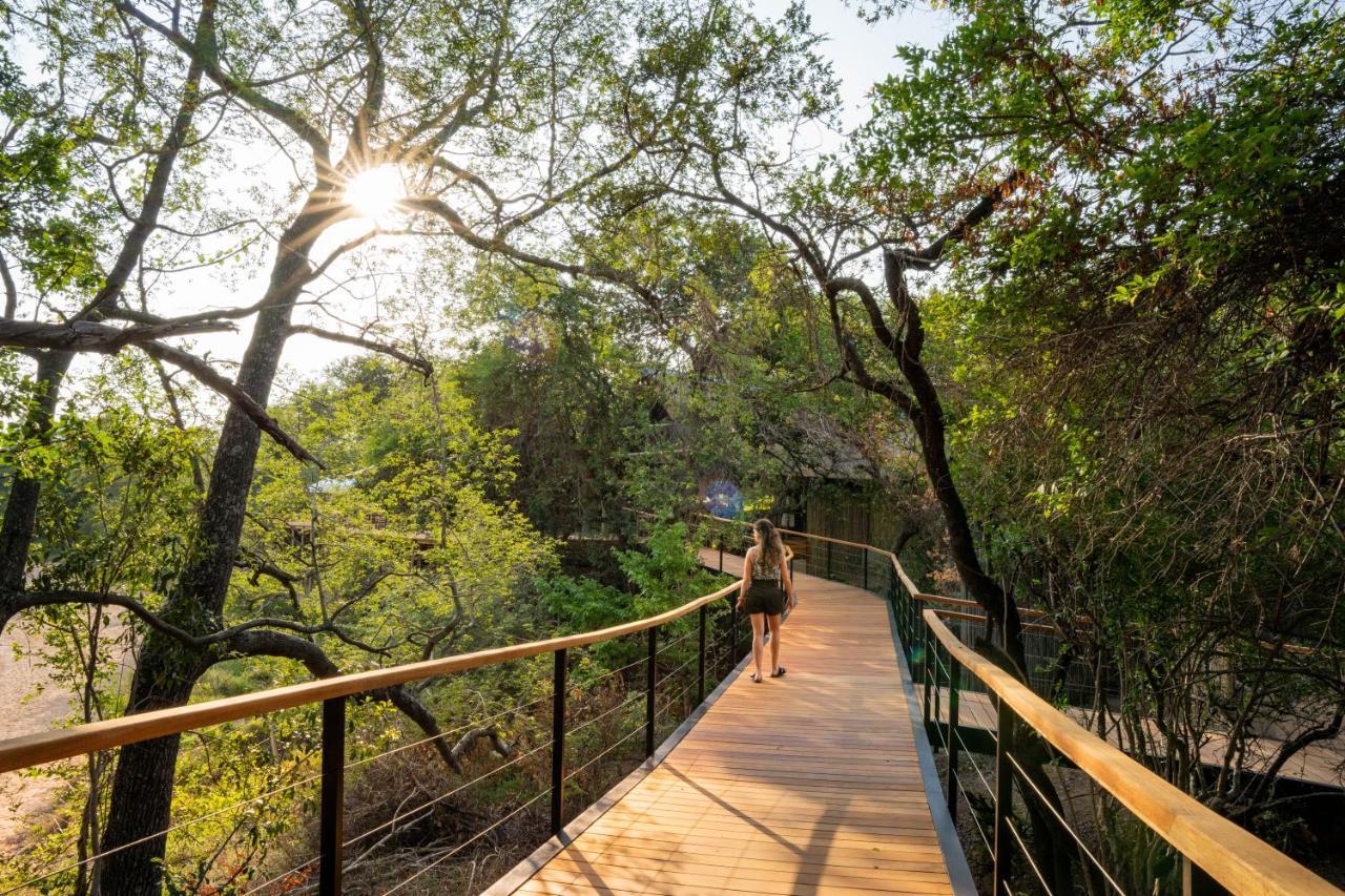 Thornybush Game Lodge Wildreservat Thornybush Exterior foto